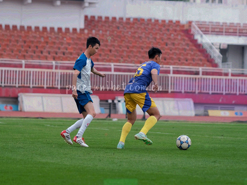 观众席微光与移动设备屏幕光点组成的抽象点阵画面，无清晰人物面部